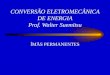 CONVERSÃO ELETROMECÂNICA DE ENERGIA Prof. Walter Suemitsu ÍMÃS PERMANENTES