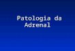 Patologia da Adrenal Patologia da Adrenal. ADRENAL