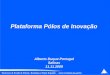 Plataforma Pólos de Inovação Alberto Duque Portugal Salinas 11.11.2009