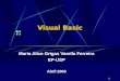 1 Visual Basic Maria Alice Grigas Varella Ferreira EP-USP Abril 2003