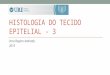 HISTOLOGIA DO TECIDO EPITELIAL - 3 Vera Regina Andrade, 2015