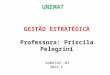 GESTÃO ESTRATÉGICA Professora: Priscila Pelegrini UNEMAT SORRISO –MT 2015-1