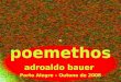 Poemethos adroaldo bauer Porto Alegre – Outono de 2008