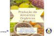 Produção de Alimentos Orgânicos Francisco L. A. Câmara Dept o de Produção Vegetal Faculdade de Ciências Agronômicas UNESP – Campus de Botucatu