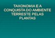 TAXONOMIA E A CONQUISTA DO AMBIENTE TERRESTE PELAS PLANTAS