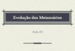 Evolução dos Metazoários Aula 03. Volvox sp. (microvilosidades) Proterospongia sp. Filo Choanoflagellida