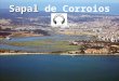 Sapal de Corroios O Sapal de Corroios, no concelho do Seixal, é a zona húmida mais bem conservada de todo o estuário doTejo