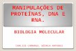 MANIPULAÇÕES DE PROTEÍNAS, DNA E RNA. BIOLOGIA MOLECULAR CARLIZE CAMARGO, GÉDRIA ANTUNES
