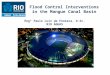 Flood Control Interventions in the Mangue Canal Basin Engº Paulo Luiz da Fonseca, D.Sc. RIO ÁGUAS