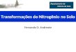Fernando D. Andreote Transformações do Nitrogênio no Solo