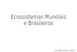 Ecossistemas Mundiais e Brasileiros Prof. Rafael Rosolen T Zafred