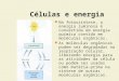 Células e energia Na fotossíntese, a energia luminosa é convertida em energia química contida em moléculas orgânicas. As moléculas orgânicas podem ser