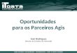 IT Data Consultoria – (55 11) 3862-6256 –  – Todos os direitos reservados Oportunidades para os Parceiros Agis Ivair Rodrigues Diretor