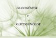 GLICOGÊNESE E GLICOGENÓLISE. Glicogênese Processo bioquímico que transforma a glicose em glicogênio. Ocorre virtualmente em todos os tecidos animais,