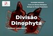 Faculdade Salesiana Curso de Ciências Biológicas Biologia de Plantas Avasculares Professor: Larissa Bassani Divisão Dinophyta
