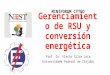 Gerenciamiento de RSU y conversión energética Prof. Dr. Electo Silva Lora Universidade Federal de Itajubá MINIFORUM CYTED