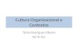 Cultura Organizacional e Contextos Tânia Rodrigues Ribeiro ISCTE-IUL
