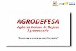 AGRODEFESA Agência Goiana de Defesa Agropecuária “Valores rurais e antirrurais” AGRODEFESA Agência Goiana de Defesa Agropecuária “Valores rurais e antirrurais”