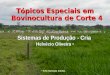 Tópicos Especiais em Bovinocultura de Corte 4 Sistemas de Produção - Cria Helvécio Oliveira * * D.Sc Nutrição Animal
