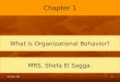 Ch1 - What is Organizational Behavior