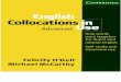 English Collocation in Use (Advanced).pdf