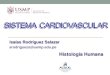 Clase 9 Sistema Cardiovascular