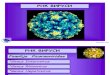 RNK Virusi Slajdovi Farmaceutska Mikrobiologija Farmacija