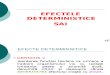 Efecte Deterministice -SAI_1