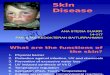 skin disease final.ppt
