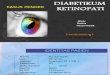 Diabetik Retinopathy