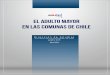 Estudio Adulto Mayor en las comunas de  Chile
