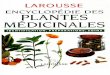 EBOOK Encyclopedie des plantes by Brunold.pdf