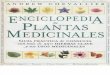 01 plantas-medicinales.pdf