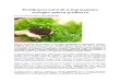 Fertilizatori Naturali Si Ingrasaminte Ecologice Pentru Gradina Ta
