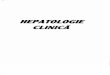Hepatologie Clinica