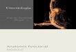Aula 11 - Cinesiologia Anatomia Funcional 1.pdf