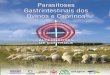 Parasitoses Gastrintestinais de Ovinos e Caprinos - Alternativas de Controle