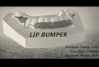 Lip Bumper