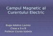 Documents.tips Campul Magnetic Al Curentului Electric 55979b7ff1e66