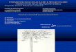 3-Farmacologia del neurone e sistema adrenergico.pdf