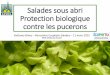 Rencontre Ecophyto Salade 2015