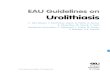 EAU Guidelines Urolithiasis 2016