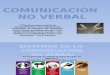 Comunicacion No Verbal - Presentacion