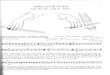método cello.pdf