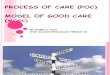 Process of Care and Model of Good Care