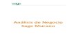 Manual Análisis de Negocio Finanzas Sage Murano