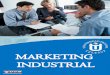 Marketing Industrial.pdf