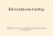 Biodiversity Class Ppt