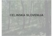 Herbarij - Celinska Slovenija