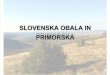 Herbarij - Slovenska obala in Primorska